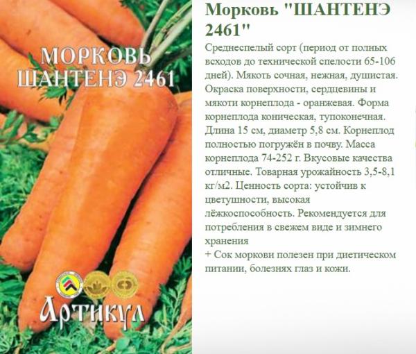 Морковь Шантане 2461 Др. 300 Шт.арт.