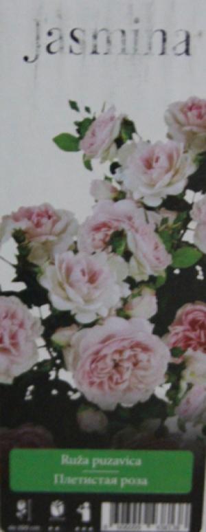 Ясмина 4.29 Розово-Белая